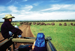 Safari-Touren: Kenia - Safarifahrzeug